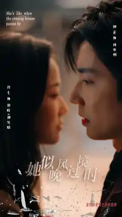 她似晚风过境时