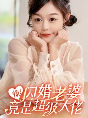 惊闪婚老婆竟是超级大佬