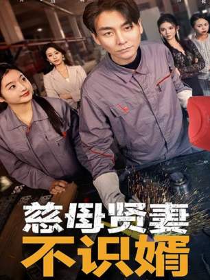 慈母贤妻不识婿