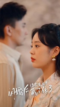 闪婚后傅先生马甲藏不住了