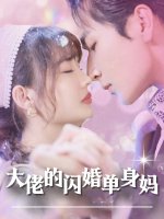 大佬的闪婚单身妈