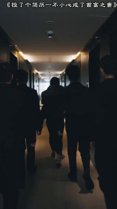 投了个简历一不小心成了首富之妻