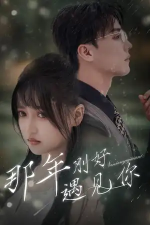 那年刚好遇见你那年遇见你
